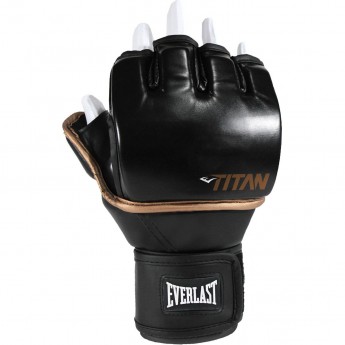 Перчатки тренировочные EVERLAST TITAN GRAPPLING SM черные